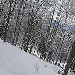 דירה Buddy's House View Dog Friendly Whit Garage