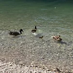 דירה Buddy's House View Dog Friendly Whit Garage *